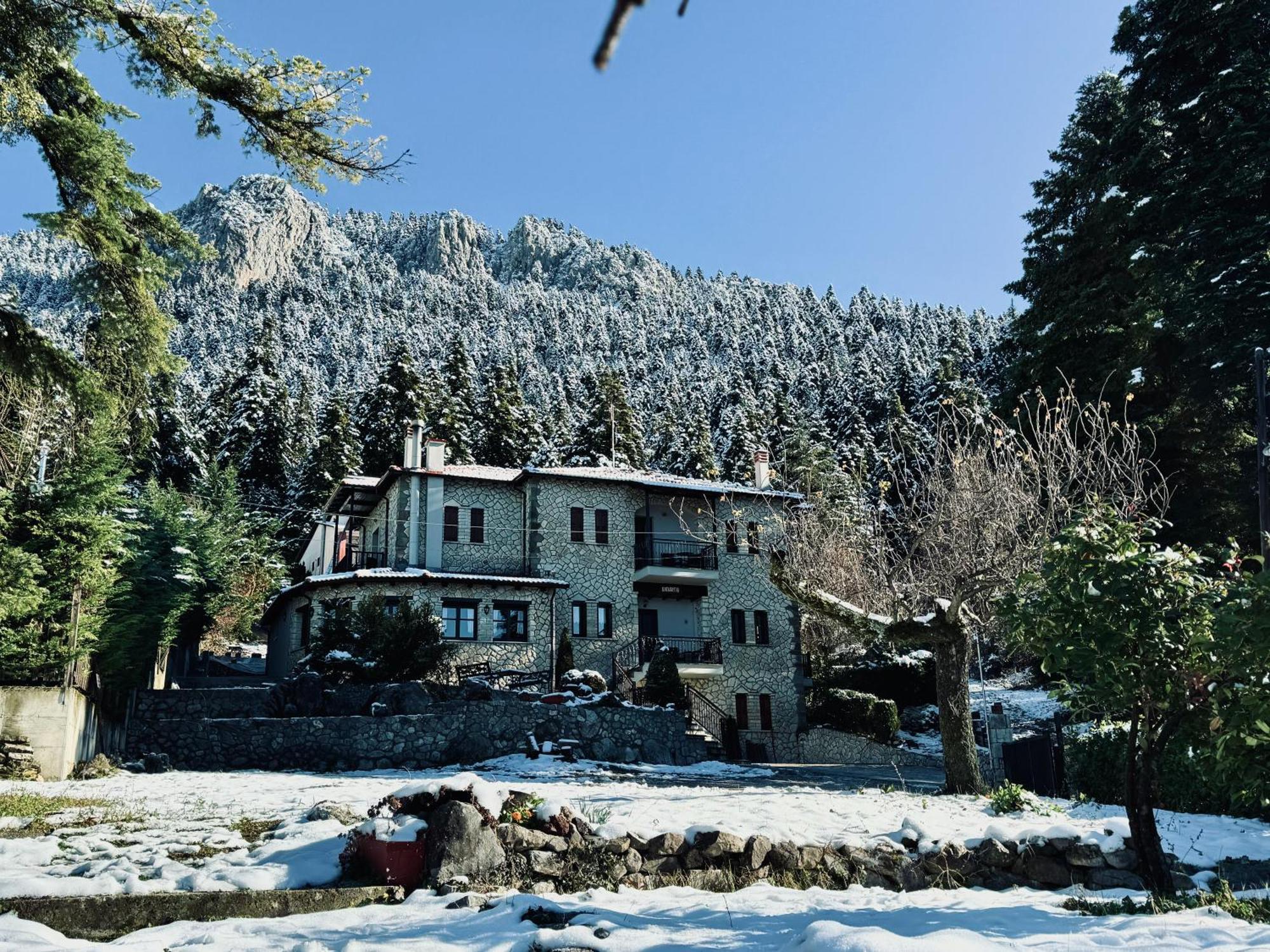 Hotel Katafigio Elati  Exterior photo