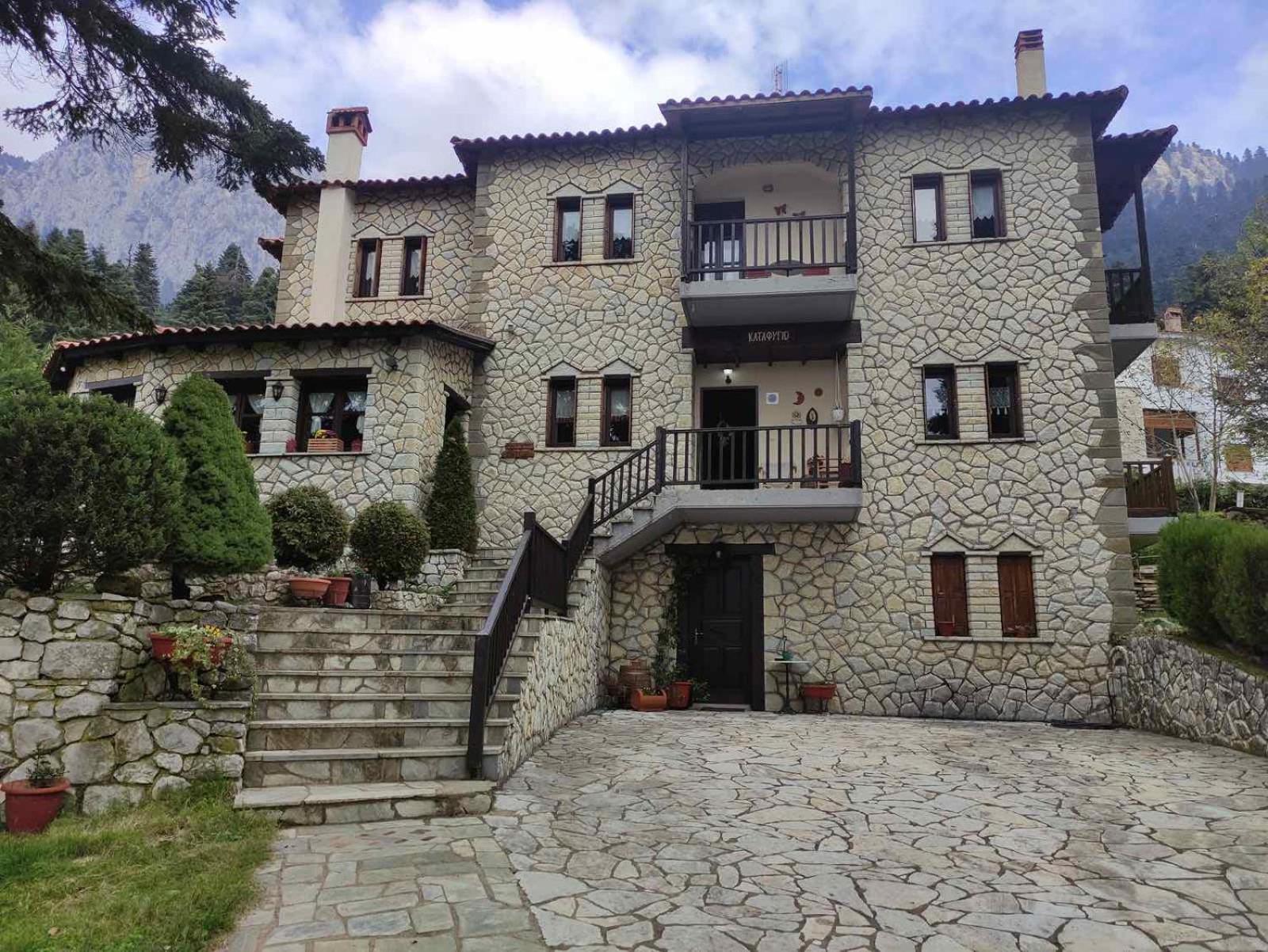 Hotel Katafigio Elati  Exterior photo